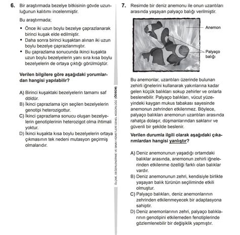 Merhaba arkadaşlar 2019 LGS Fen Bilimleri sorularını çözebilir misiniz