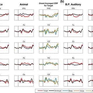 Grand Averaged Erp Waveforms Across All Subjects Shown In Five Channels