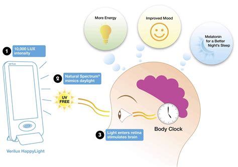 Light Therapy Benefits for Circadian Rhythm Disorder | Verilux Blog