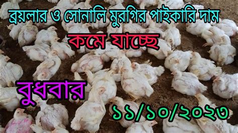 ১১ অক্টোবর 🐓 আজকের ব্রয়লার মুরগির পাইকারি দাম আজকের ব্রয়লার ও