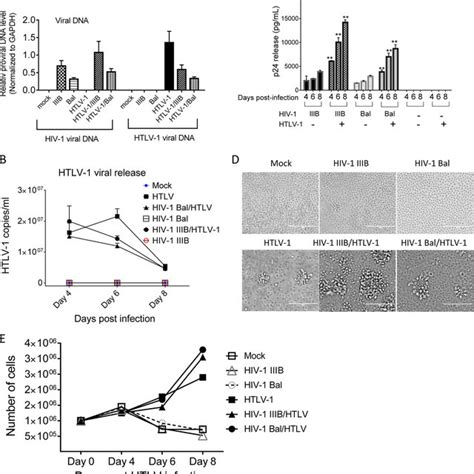 Coreplication Of Hiv 1 And Htlv 1 In Primary Cd4 T Cells Primary Cd4 T