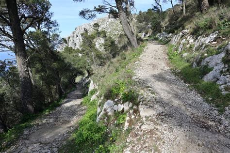 Anacapri Sentiero Di Via Monte Solaro Stock Photo Image Of