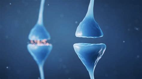 Synapse Neuron Cell Biology Concept 3d Stock Footage Video (100% ...