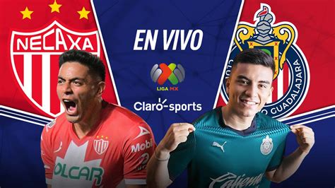 Ver En Vivo Online Necaxa Vs Chivas Jornada 9 Liga MX 2024 Hoy