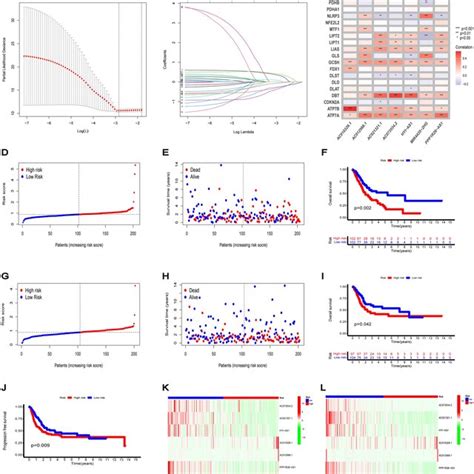 Construction Of Prognostic Signature For Cuproptosis Related Lncrnas