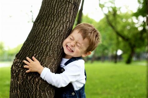 Frasi Sugli Alberi Per Celebrare La Giornata Nazionale Degli Alberi