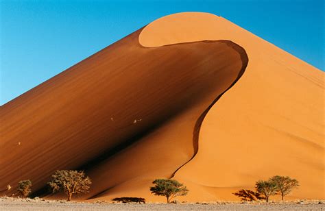 Namib Desert-2 – CULTURED CREATURES