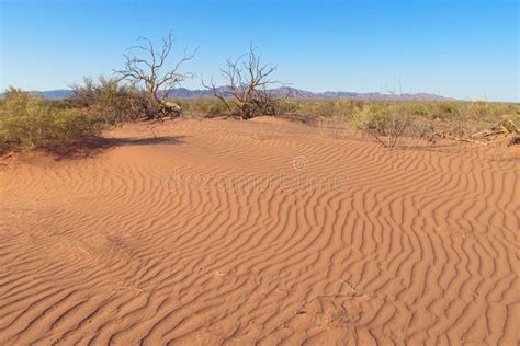 Desert Red Dry Soil Texture Stock Image Image Of Australian Heat