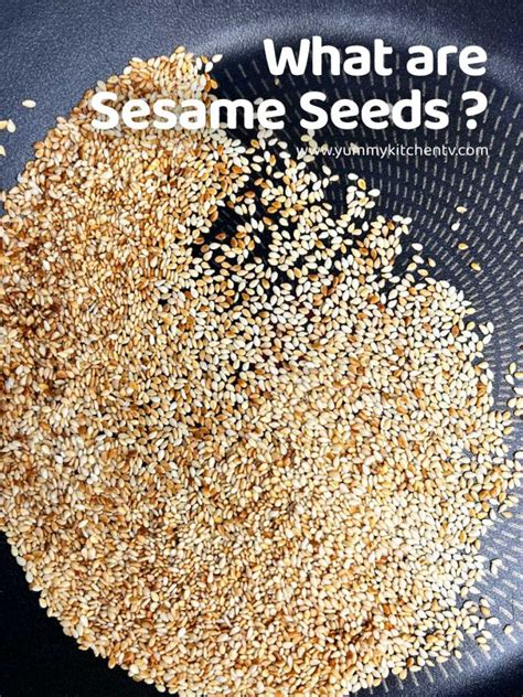 White Sesame Seeds ( What does it add to the dish? ) - Yummy Kitchen