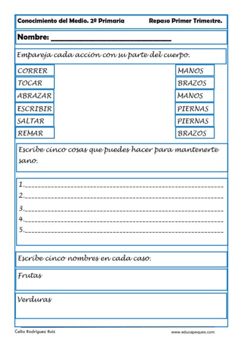 Ejercicios De Conocimiento Del Medio Para Segundo Primaria 480