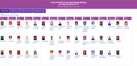 Ini 125 Caleg 2024 DPR RI Dari Dapil DKI Jakarta 2