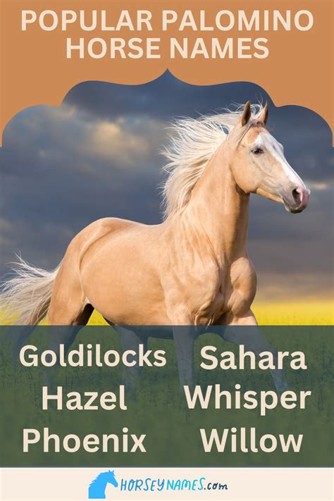 210+ Palomino Horse Names with Generator