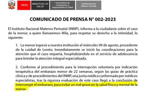 Mila Y El Aborto Terap Utico Solo Una Ni A Accedi Al Procedimiento