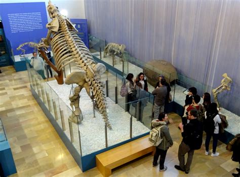 Museo Paleontol Gico De Valencia Actualizado Junio