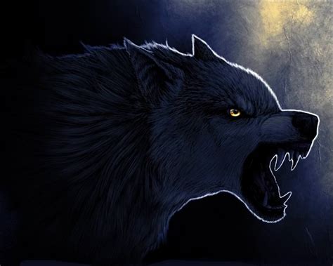 Wolf Eyes Wallpapers - Wallpaper Cave