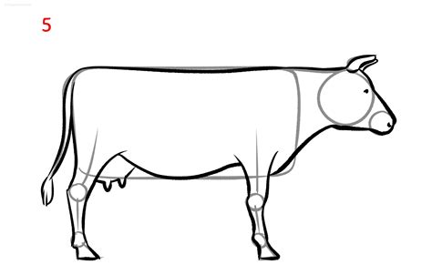 Kuh Malen Schrittf Rschritt Anleitung Mit Vorlage Kuh Zeichnen