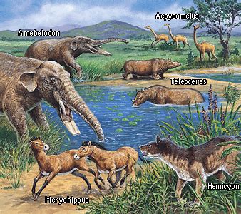 Cenozoic | Dinopedia | FANDOM powered by Wikia