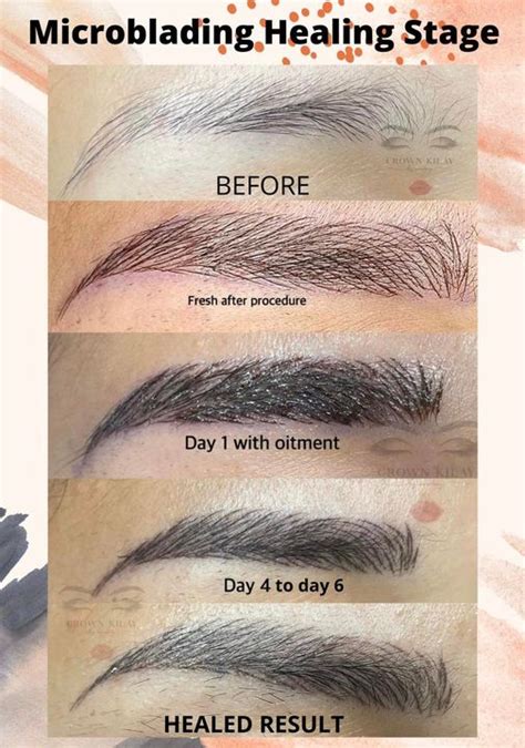 Microblading Healing Process What To Expect The Daily Glimmer