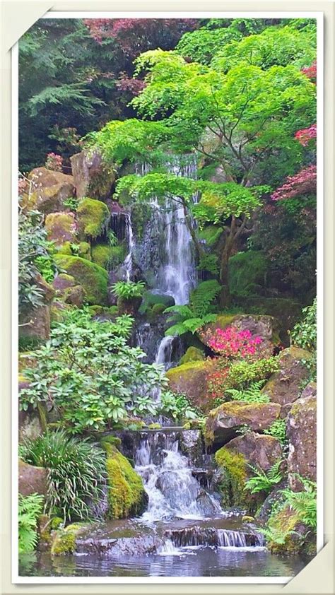 Japanese garden in Portland Oregon. | Japanese garden, Autumn painting ...