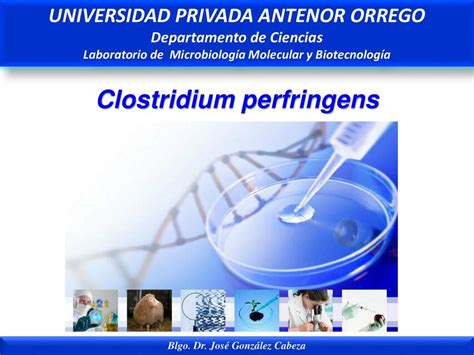 Clostridium Perfringens Erwin Escobar Ordinola Udocz