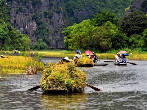 From Hanoi Ninh Binh Cuc Phuong National Park Day Tour