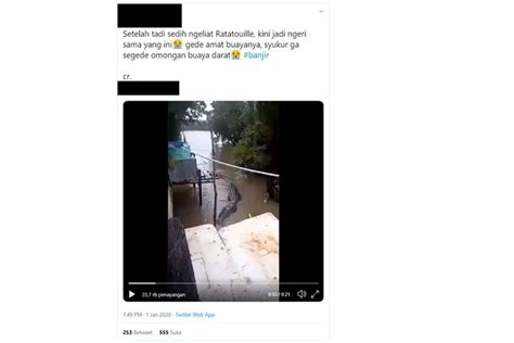 Video Buaya Masuk Permukiman Warga Saat Banjir Ini Penjelasannya