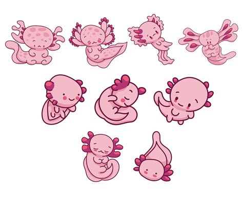 Cute Axolotl Clipart Bundle Svg Png Kawaii Axolotl Baby