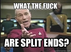 What The Fuck Are Split Ends Annoyed Picard Quickmeme
