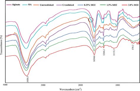 Ftir Spectrum Of Alginate Oxidized Alginate And The Hydrogels