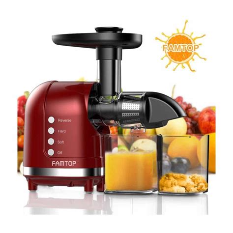 Top 10 Best Masticating Juicers In 2022 Reviews GoOnProducts