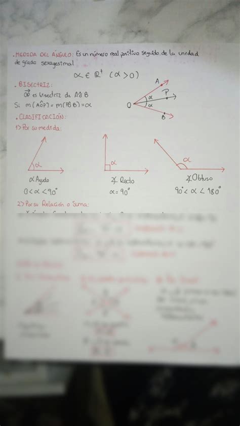 SOLUTION Geometria Segmentos Ii Studypool