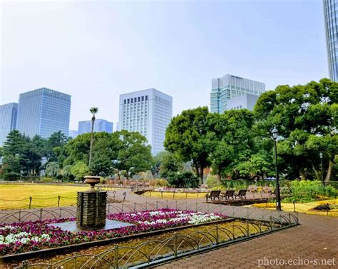 日比谷公園 第一花壇 風景 響鳴写真館