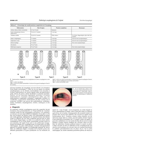 Solution Pathologie Oesophagienne De L Enfant Studypool