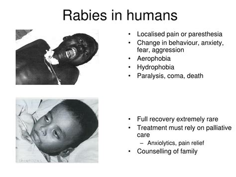 Ppt Eradication Of Rabies ‘one Health Approach Powerpoint