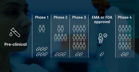 Las diferentes fases de los ensayos clínicos cómo se desarrolla un fármaco