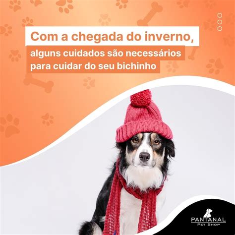 Apesar dos pets terem a pelagem como proteção natural contra diversos