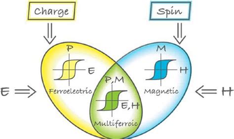 Multiferroic behavior | Download Scientific Diagram