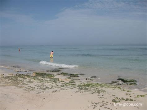 Holidays on the island of Djerba, Tunisia - everything you need to know!