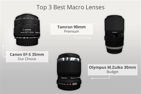 8 Best Macro Lenses in 2025: Ranked & Reviews