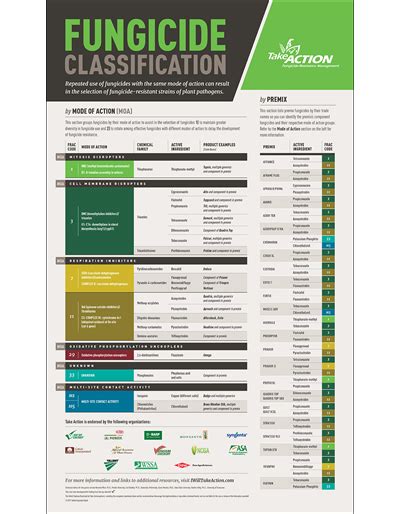 Fungicide Classification