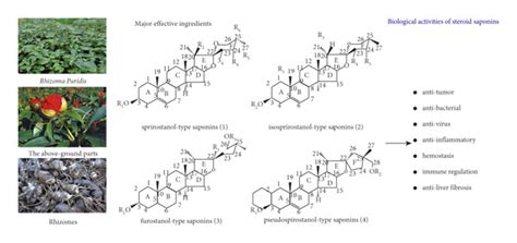 Chemical Constituents And Pharmacological Activities Of Steroid