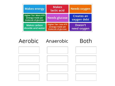 Anaerobic And Aerobic Comparison Ordenar Por Grupo