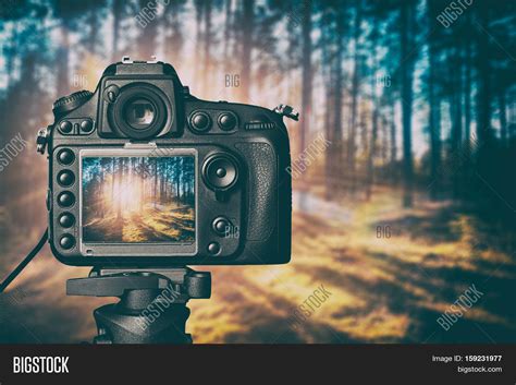 Photography View Image & Photo (Free Trial) | Bigstock