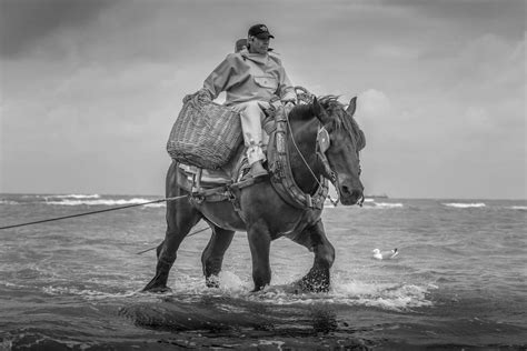 Blonde Hengst Zout Magazine