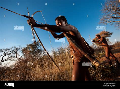 Bushmen With Bow And Arrow Hi Res Stock Photography And Images Alamy