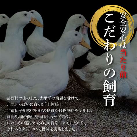 【楽天市場】【ふるさと納税】肉だけ土佐鴨かも鍋セット 鴨鍋 カモ鍋 鴨鍋の素 鍋 お鍋 セット ヘルシー 健康 美容 スライスロース モモ