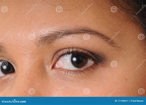 Sch Nes Latina M Dchen Stockbild Bild Von Kaukasisch