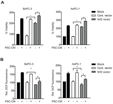 Nrf Gene Overexpression Enhances Psc Induced Pdac Cell Proliferation