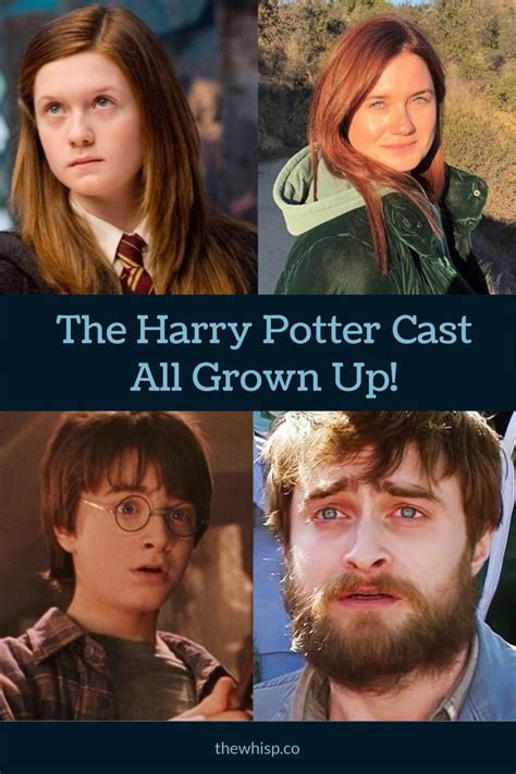 Harry Potter Cast: Then and Now Photos And What They're Doing | Harry ...