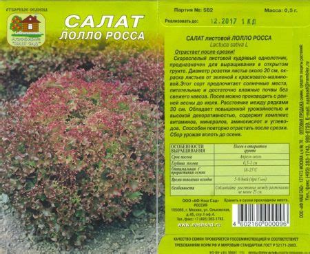Салат Лолло Росса: описание, прольза и вред, фото, выращивание из семян